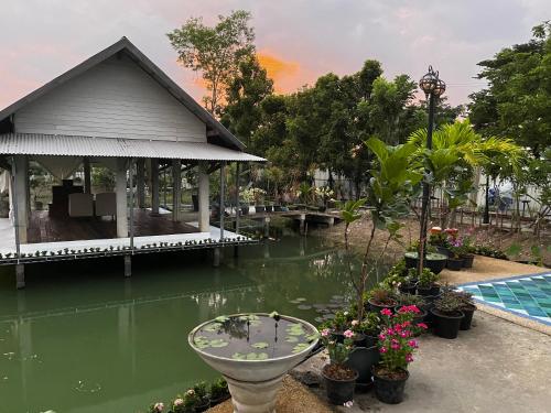 Cozy breezing countryside Pet Cozy breezing countryside Pet