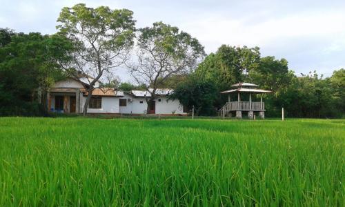 B&B Habawewa - Willpattu Wild Watch - Bed and Breakfast Habawewa