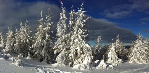 Appartamento EDELWEISS