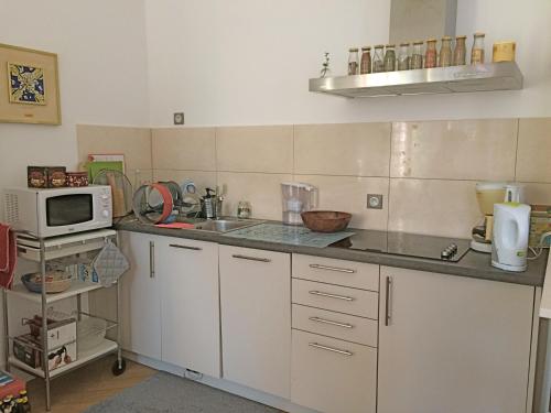 Villa Schiller, 2 studios côté jardin - quartier Orangerie, Strasbourg (photo 9)