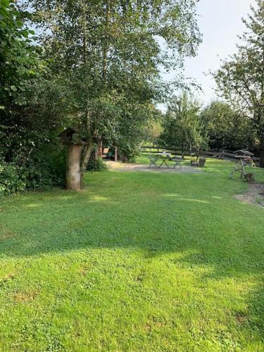 Ferienwohnung Waldblick in 洛因