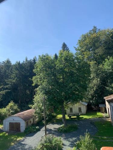 Ferienwohnung Waldblick in 洛因