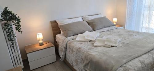 Dimora TeLu' Trilocale difronte Lingotto Fiere