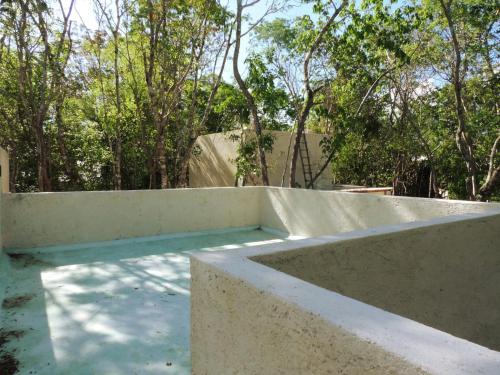 barefoot jungle studios barefoot jungle studios