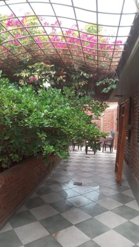 Garden, El Solar in Villa Nueva