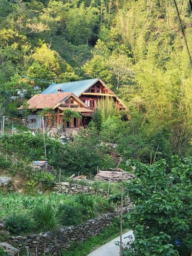 Chapi Dreamy Home Vietnam