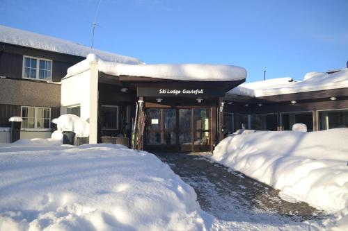 Ski Lodge Gautefall - Apartment