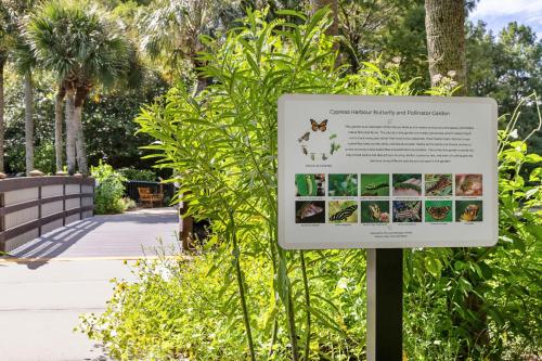 Marriott's Cypress Harbour Villas - image 11