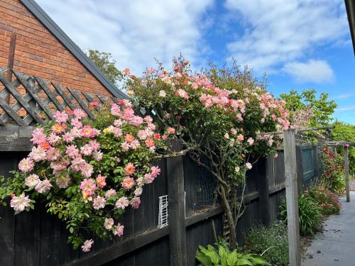 Sunny Garden Retreat - 3-BR Home near Mall, City & Airport in بابانيو