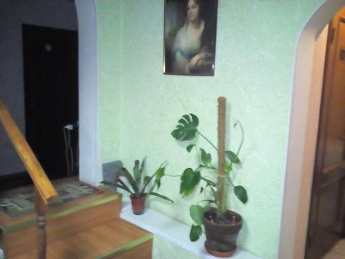 Hotel Dom - image 5