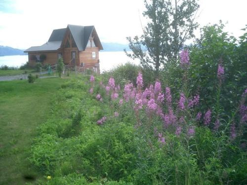 Alaska Adventure Cabins