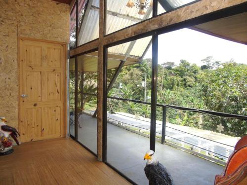 Alto Quiel Country in Volcán