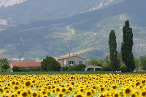 Le Mas De Saint-Ferréol Studio - Location saisonnière - Menglon