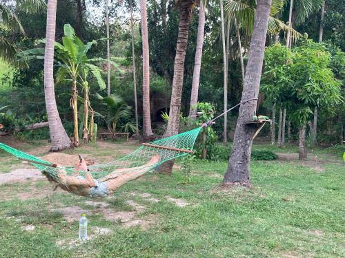 Chill House Hostel in Anuradhapura