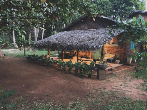 Chill House Hostel in Anuradhapura