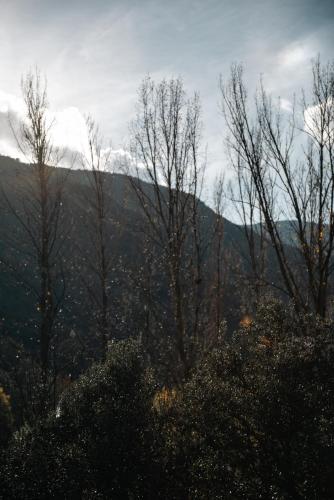 Apartaments i Bungalows Camping L'Orri del Pallars
