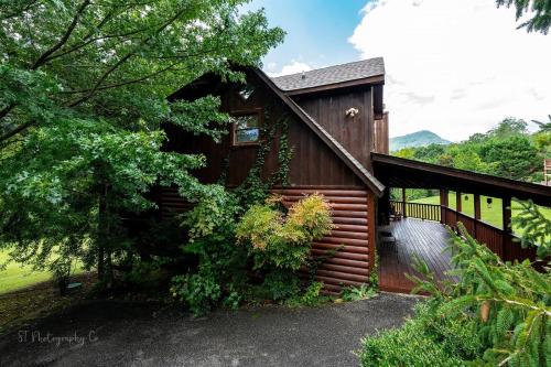 Hibernation Station in Sevierville, USA