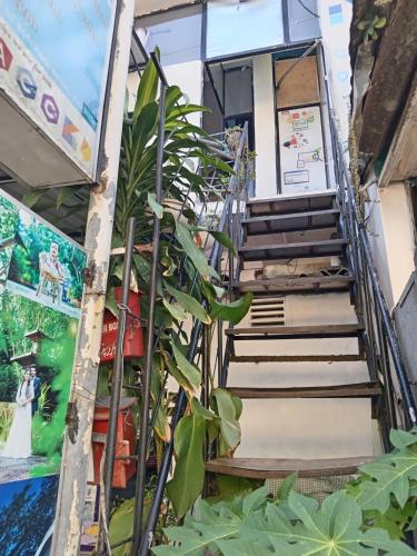 Relax Apartment in Matara