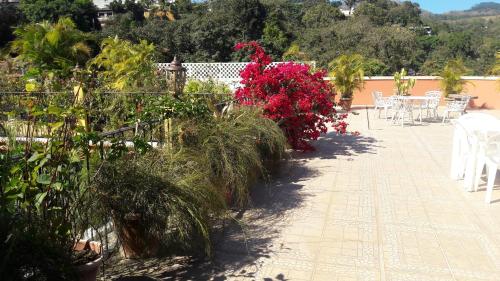 雅典卫城玛雅酒店