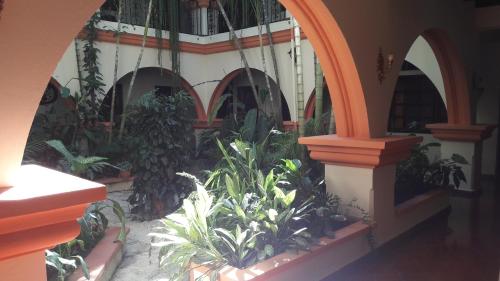 Зручності, Hotel Acropolis Maya in Руїни Копан
