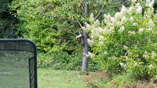 Hotel Villa Rückert - image 4