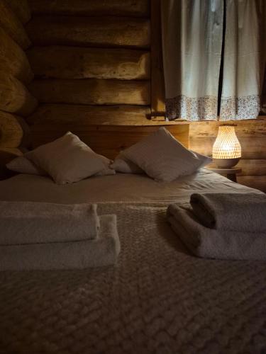 Wilcza Jama - domki z bali