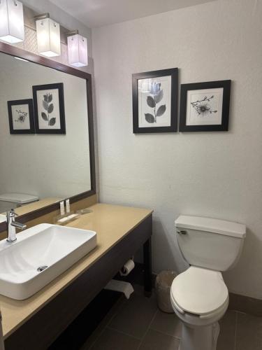 Country Inn & Suites by Radisson Elgin IL - image 6