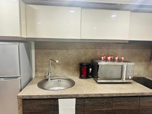 Apartment on Tabidze, Tiflis (Foto 3)