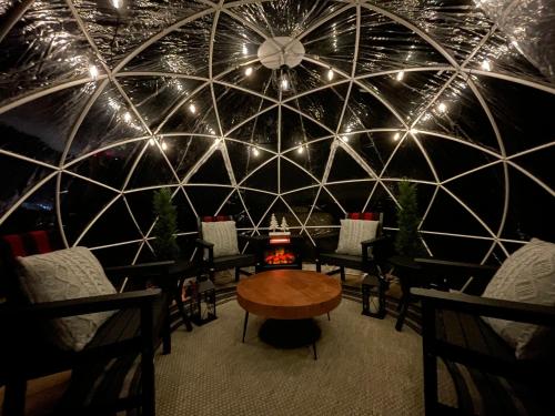 Winter Igloo Getaway & Birding Lake House in Sand Beach, USA