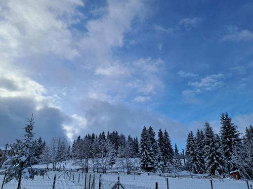 Căsuța de munte, Mărişel (fotografie 3)