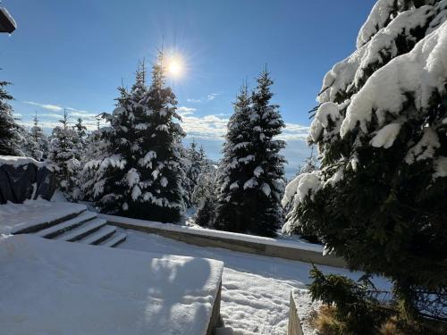 Casa Adam in Vaidēni
