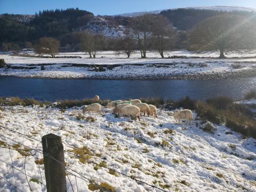 Ty Capel Isa in Dolwyddelan