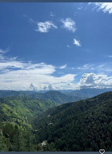 Peace holiday homestay - Churdhar