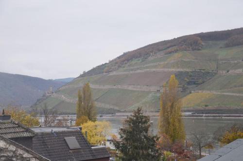 RheinBlick in Bingen am Rhein