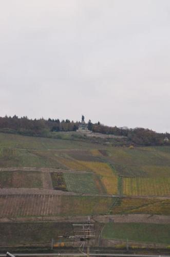 RheinBlick in Bingen am Rhein
