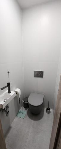 Vannas istaba, v-point apartmán (v-point apartman) in Zavažna Poruba