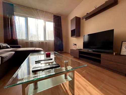 Nice, Spacious and Cozy Apartment, Sofie (fotografie 2)
