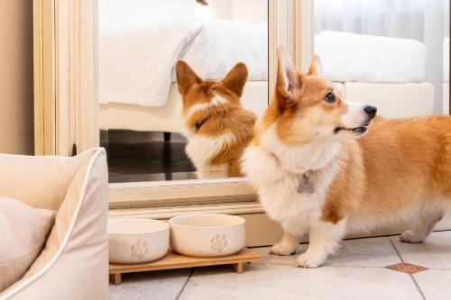 Majestic Toscanelli (centro storico) - image 8