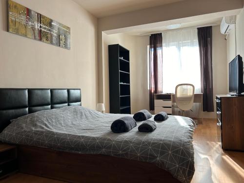 Nice, Spacious and Cozy Apartment, Sofie (fotografie 10)
