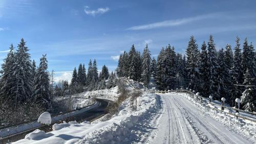 Котедж Краєвид, Jablunycja (fotografie 3)
