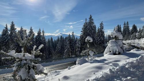 Котедж Краєвид, Jablunycja (fotografie 2)