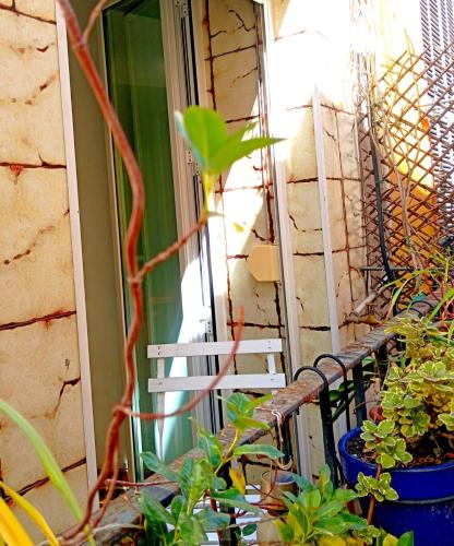 La Casa de las Flores