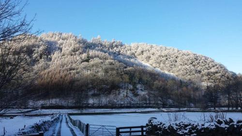 Stybeck Farm - image 2
