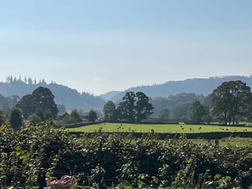 Stybeck Farm - main image