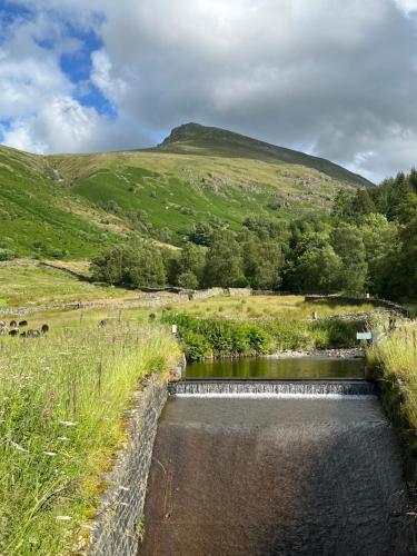 Stybeck Farm - image 8