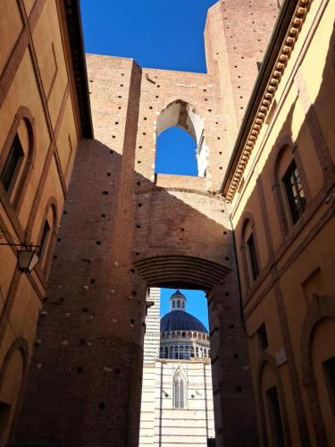 Hotel Minerva - image 4