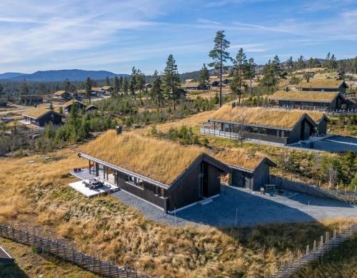 Modern cabin with a Mountain View in Nesbyen