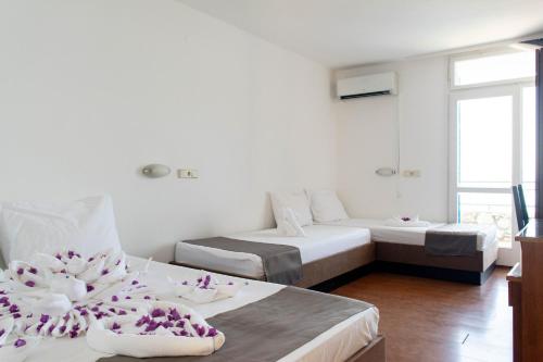 Beach Hotel Plaza Drasnice - Makarska Riviera in Drasnice