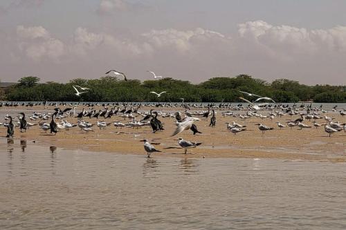 Villa Ngorane in La Somone