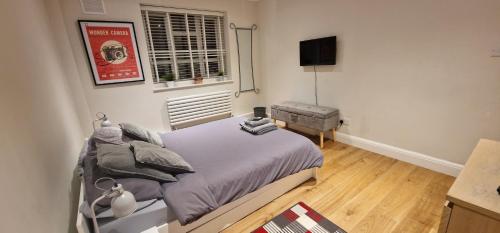 Muswell Hill Apartment FREE PARKING, Londýn (fotografie 9)